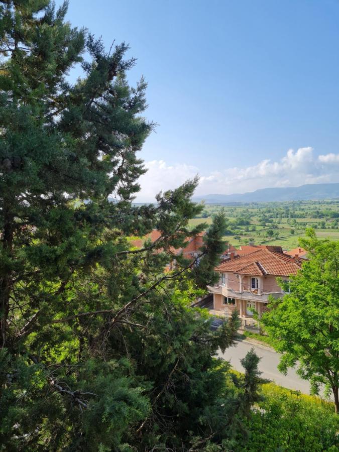 Bojana Apartment Negotino  Exterior foto